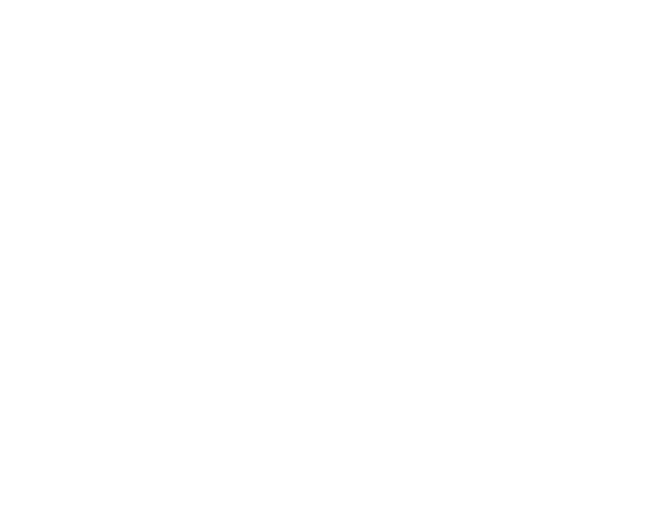 Logo NBG